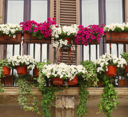 garden balcony